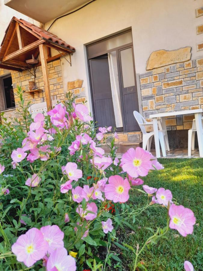 Vila Aliaj Deluxe Groundfloor With Beautiful Garden * Durrës