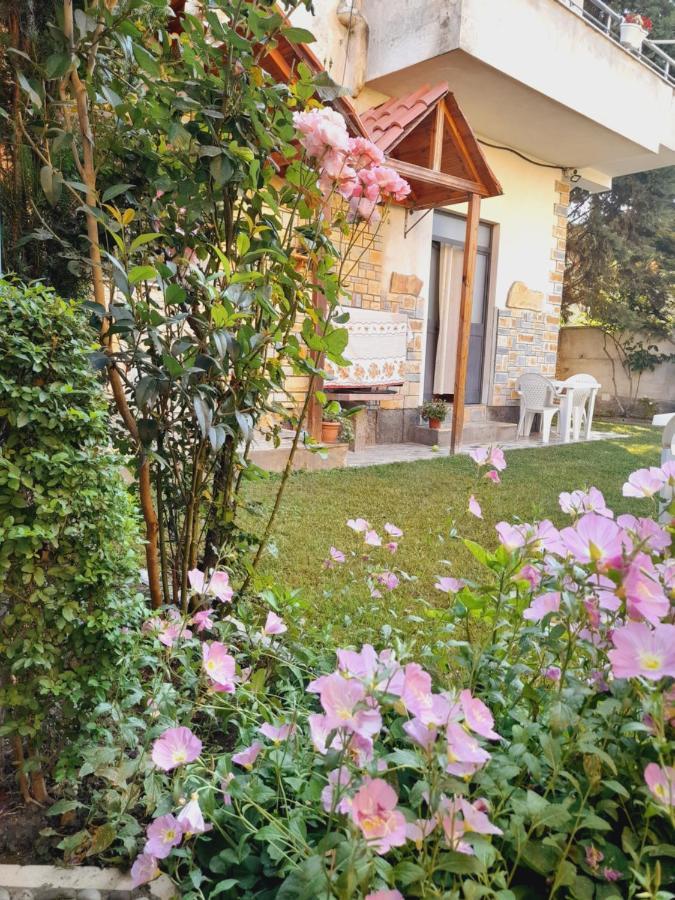 Vila Aliaj Deluxe Groundfloor With Beautiful Garden Apartment Durrës
